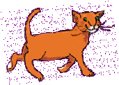 orange cat with green eyes smiling