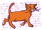 orange cat with green eyes smiling